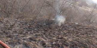 Trei incendii de vegetație, duminică, în comuna Broșteni