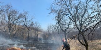 VIDEO-FOTO Miercuri, o nouă zi de foc pentru voluntarii SVSU Dumitrești