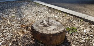 Focșaniul, pe lista neagră și la capitolul mediu