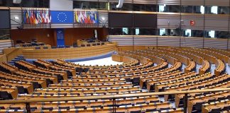 Stagii de lucru la Parlamentul European