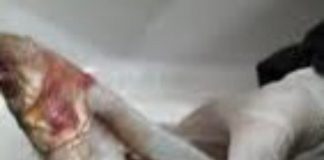 Avertisment ANPC înainte de Buna Vestire și de Florii: atenție la peștele și produsele din pește!