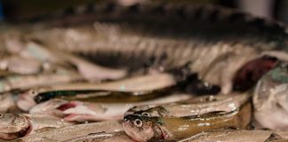 Zaga Zaga se redeschide cu o invitație gastronomică