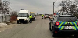 VIDEO Două zile de controale complexe în sectorul silvic/ Amenzi de peste 200.000 lei și confiscări de material lemnos