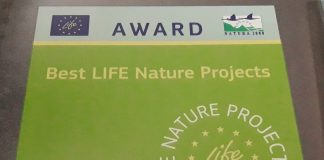 Proiectul de protejare a populației de lup Wolflife, premiat de Comisia Europeană