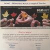 proiect munca 1