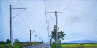 ”Maci la Cotești”, lucrare premiată la un concurs național de arte plastice