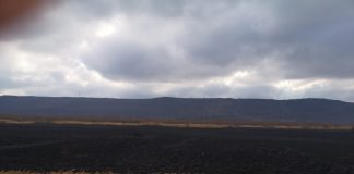 FOTO Incendiul din Lunca Siretului, de la Pufești, s-a întins pe 15 ha/ În zonă trăiesc păsări și castori