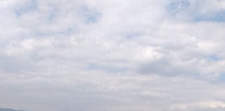 Autoutilitară cu lemne, răsturnată pe Șoseaua Vrancei