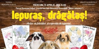 Atelier de felicitări de Paști și expoziție de iepurași, la Adjud