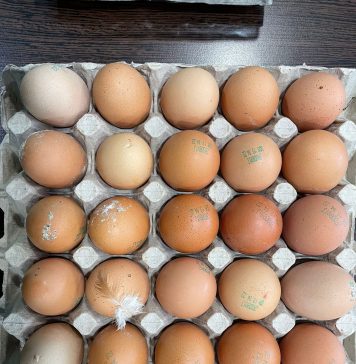 ANSVSA: Ouăle de Paște – prospețime și siguranță