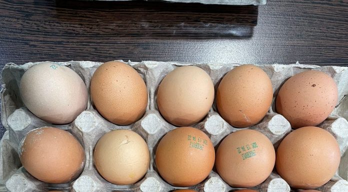 ANSVSA: Ouăle de Paște – prospețime și siguranță