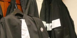 Avocații vrânceni, în campanie electorală