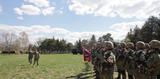 Cerere mare pe piața muncii de soldați gradați profesioniști