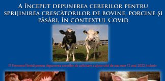 APIA așteaptă crescătorii de animale și de păsări să depună cereri pentru schemele de ajutor de stat
