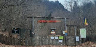 Atenție șoferi! Accesul auto este interzis de la podul care traversează râul Putna până la intrarea în Rezervația CheileTișiței