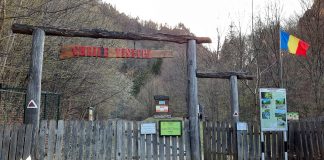 ALERTĂ Patru persoane s-au rătăcit pe Cheile Tișiței