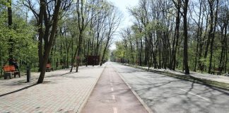 Sâmbătă noapte se face prima dezinsecție în Crângul Petrești