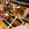 expozitie pasti 10