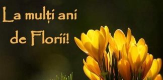 Zi de petrecere pentru cei cu nume de flori