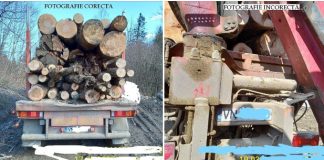 Cum fentează utilizatorii sistemul SUMAL, de urmărire a lemnului tăiat din pădure