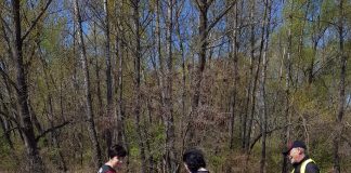 FOTO Comisarii Gărzii de Mediu au ecologizat în Lunca Siretului