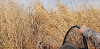 Atenție, pescari! Mai e o săptămână până la începerea prohibiției!/ Braconajul se pedepsește aspru