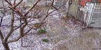 ULTIMA ORĂ Alertă de vijelie și grindină în multe localități din județ