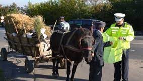 VIDEO polițiștii au oferit veste reflectorizante bicicliștilor și căruțașilor