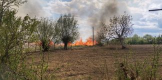 Cultura de grâu de pe 26 de hectare, arsă în incendiul de la Câmpineanca