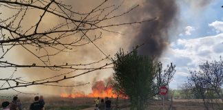 FOTO-VIDEO Incendiu de vegetație la Rădulești, destul de aproape de sat