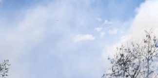 FOTO-VIDEO Incendiu de vegetație în Cartierul Sud din Focșani