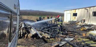 Pagube mari la un adăpost de animale din Jaristea