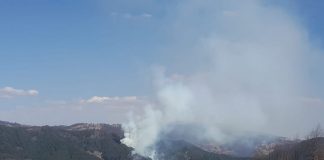 Mobilizare a pompierilor militari și civili la Bîrsești. Incendiul a cuprins 5 ha de pădure de pin