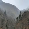 munte vrancea 1