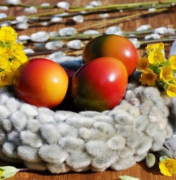 George Claudiu Nica, primarul municipiului Adjud: ”Sărbători Fericite!”