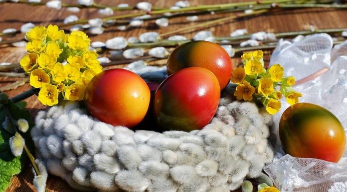 George Claudiu Nica, primarul municipiului Adjud: ”Sărbători Fericite!”