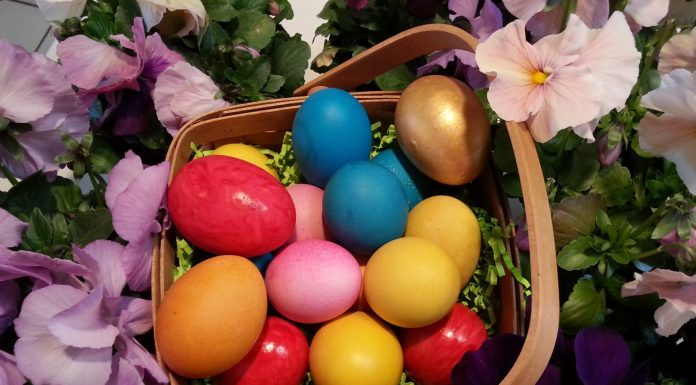 Dragoș Ciobotaru, deputat PNL Vrancea: ”Sărbători Fericite!” (VIDEO)