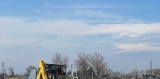 O mie de pomi plantați la Suraia, în Lunca Siretului