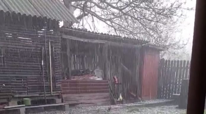 Meteo: alertă de ploi și vânt la munte