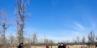 Plantare de salcâmi și activități de ecologizare și informare în Rezervația ”Merișor”, cu polițiști și copii din Biliești