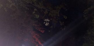 Trei tineri care au rămas împotmoliți în pădure cu autoturismul, găsiți la circa două ore de către un echipaj de poliție