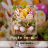 shaormeria gourmand