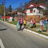 soveja curatenie (2)