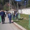 soveja curatenie (5)