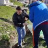soveja curatenie (6)