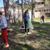 soveja curatenie (7)