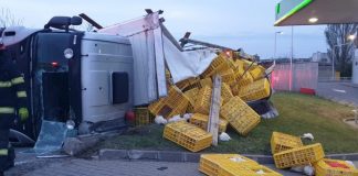 Tir cu pui, din Vrancea, răsturnat la intrarea în Buzău