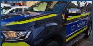 Au intrat în vigoare pedepsele mai mari pentru actele de cruzime împotriva animalelor