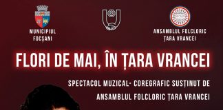 Irina Loghin va concerta sâmbătă, la Focșani