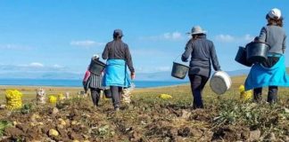 A intrat în vigoare noul salariu minim brut garantat în sectorul agricol și în industria alimentară